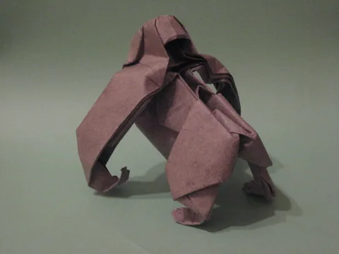 Gorilla