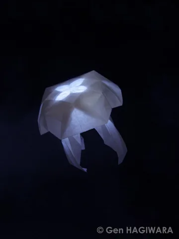 Jellyfish