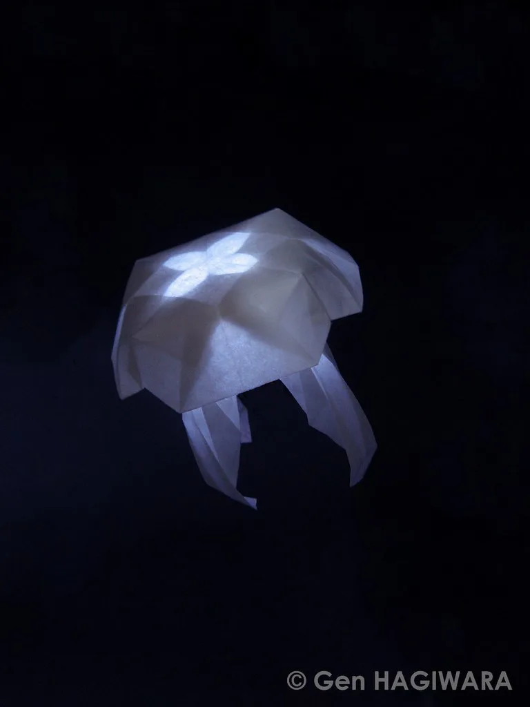 Jellyfish