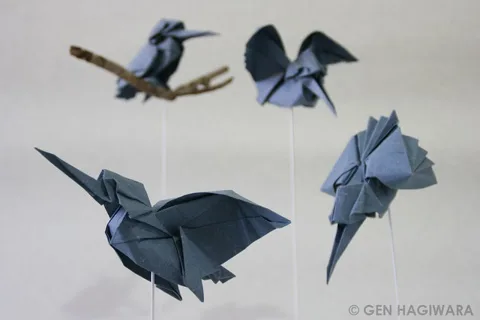 Kingfisher