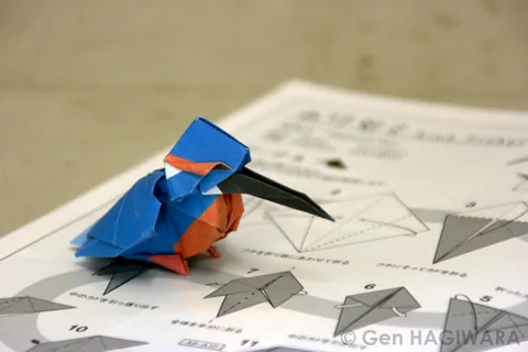 Kingfisher
