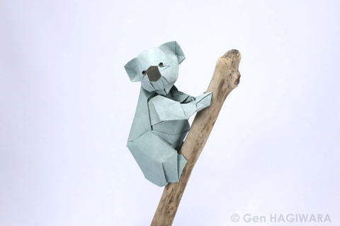 Koala