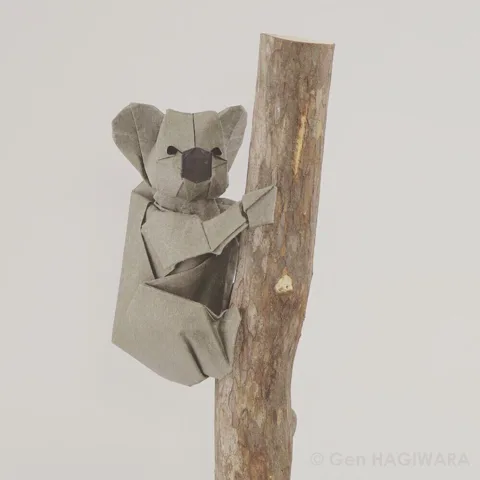 Koala