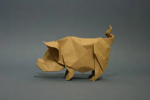 Pig