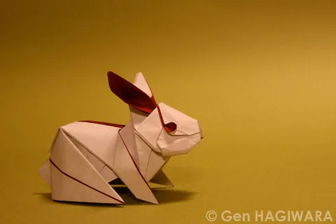 Rabbit