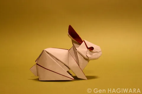Rabbit