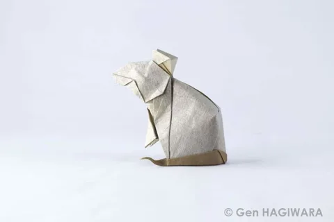 Rat