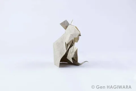 Rat