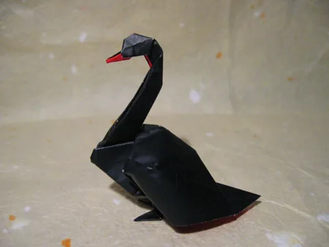 Swan