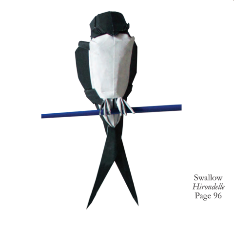 Swallow