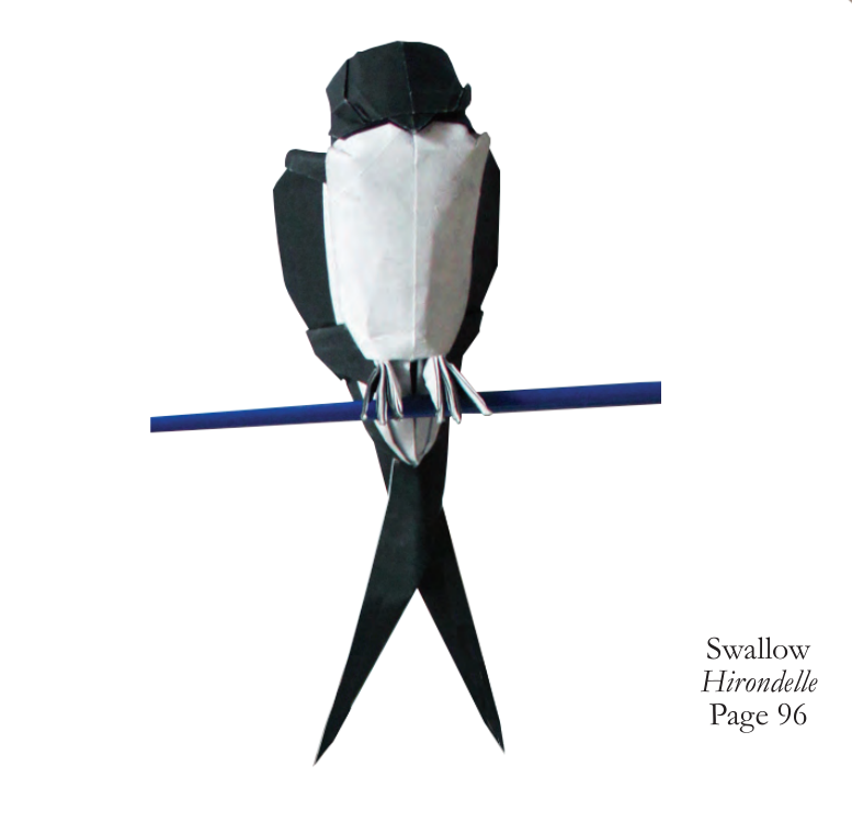 Swallow
