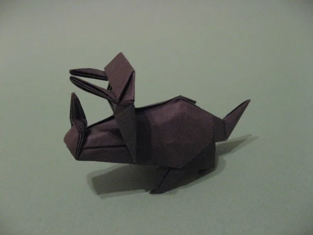 Triceratops