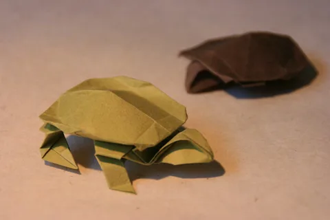 Turtle