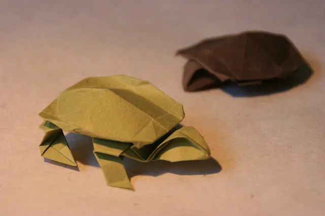 Turtle