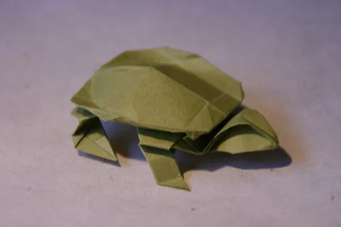 Turtle