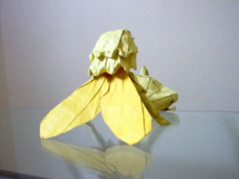 Feé Jaune