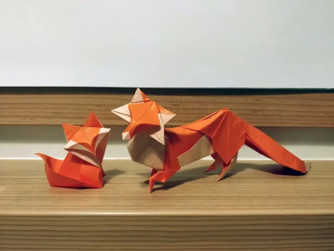 Fox