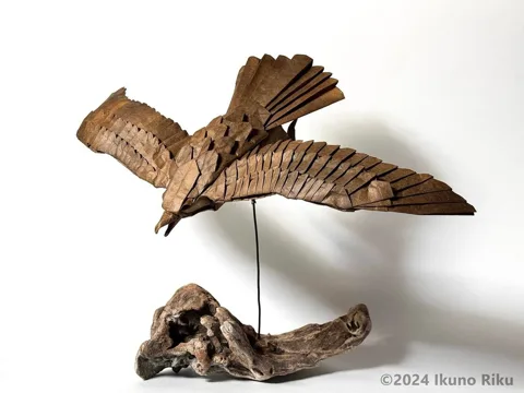 Eagle 2024