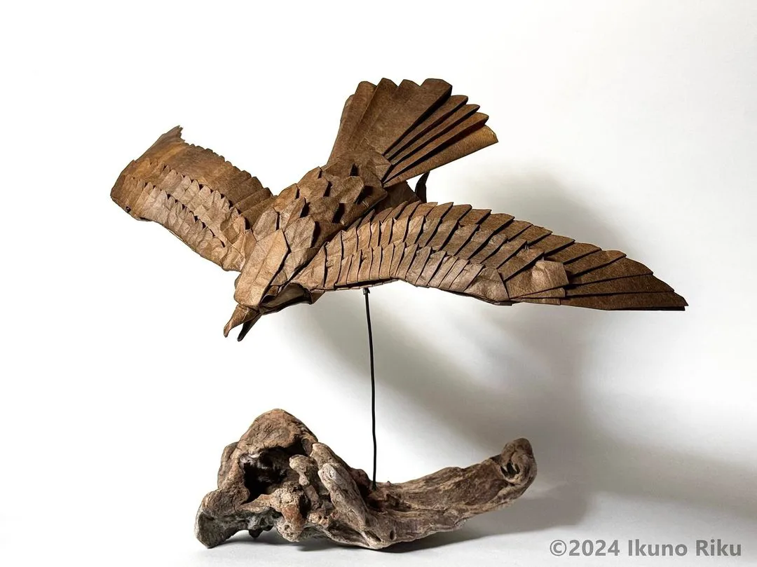 Eagle 2024
