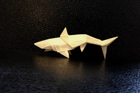 Shark