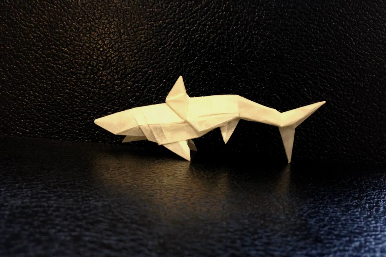 Shark