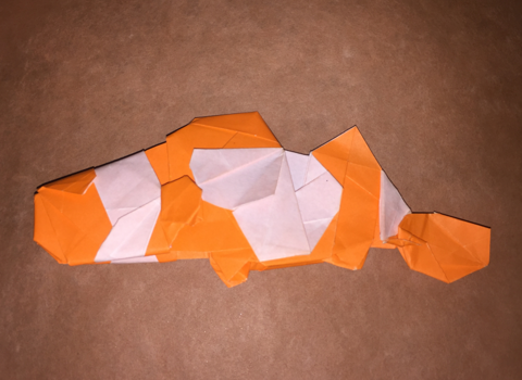 Clownfish