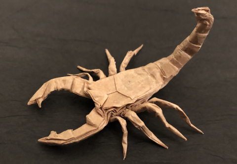 Scorpion 22.5