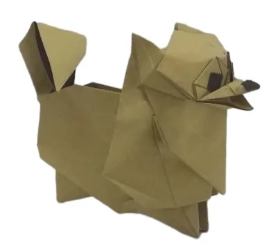 Pomeranian