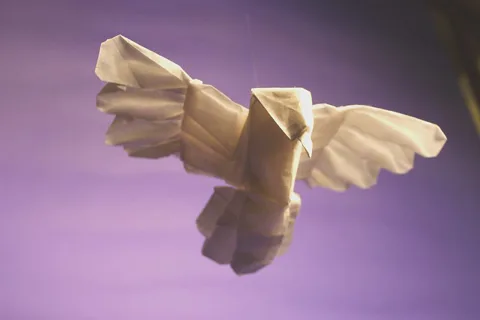 Peace dove