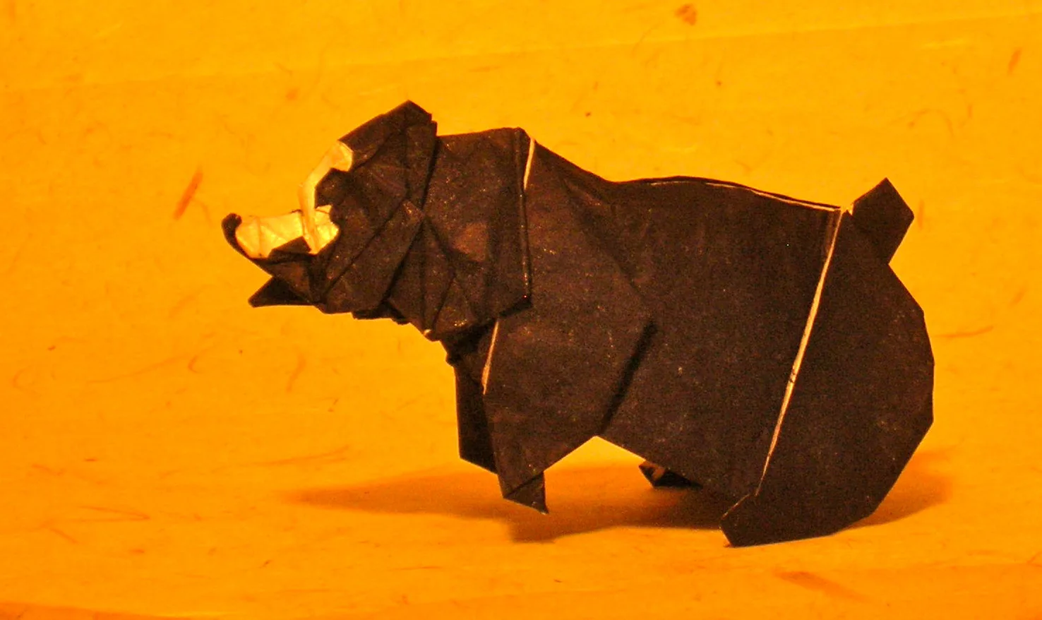Bear v1