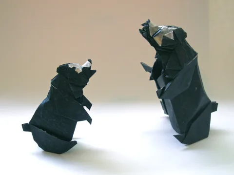 Bear v2