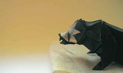 Bear v2