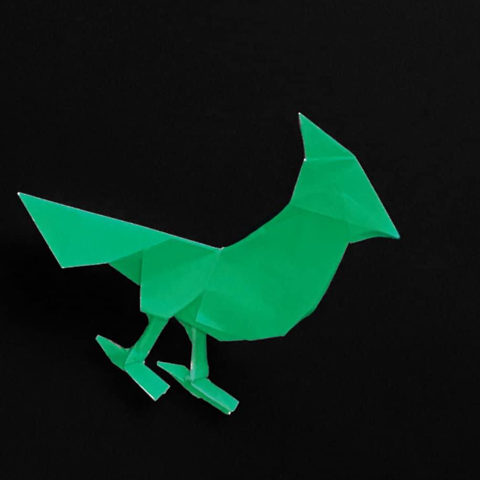 Bird