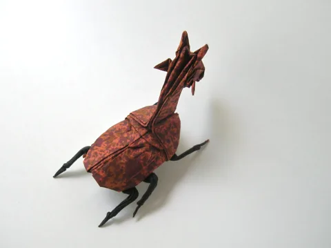 Giraffe beetle