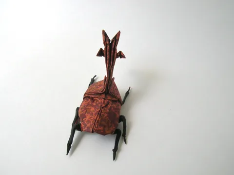 Giraffe beetle