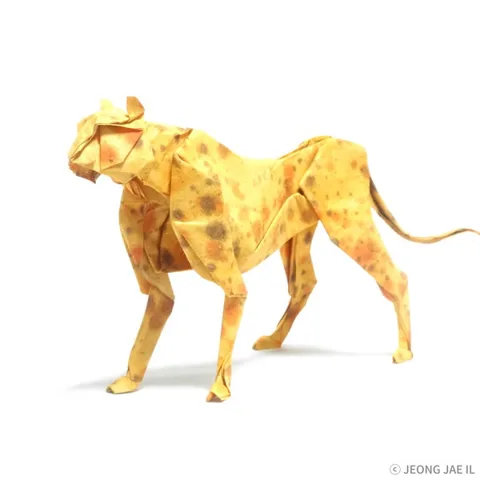 Cheetah