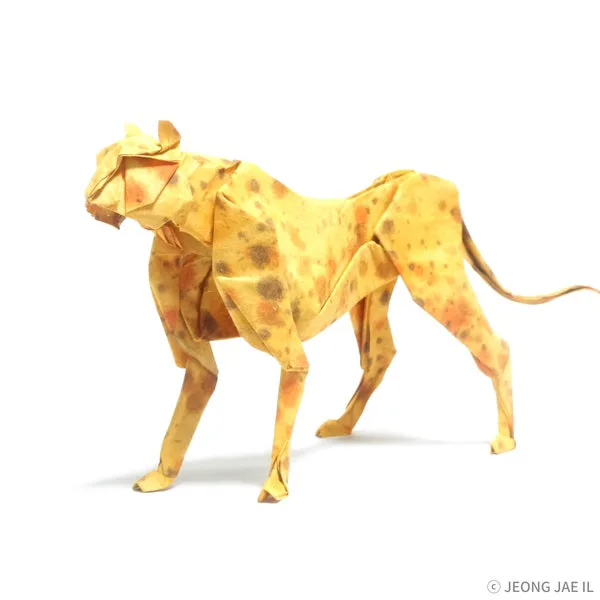 Cheetah