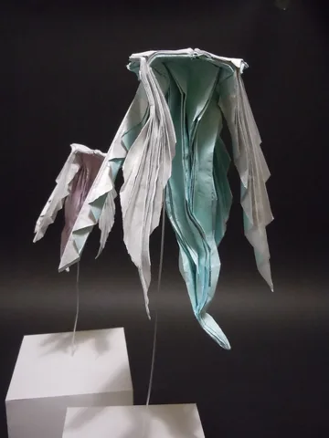 Jellyfish 4