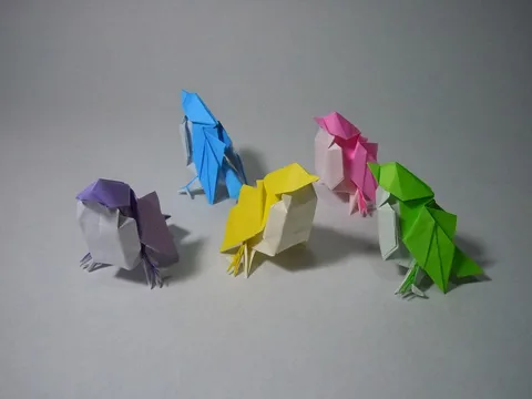 Little bird