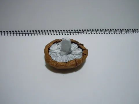 Mushroom