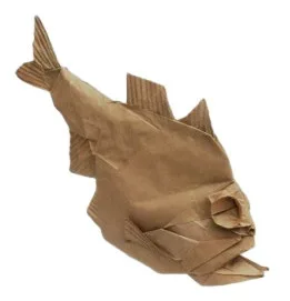 Axefish