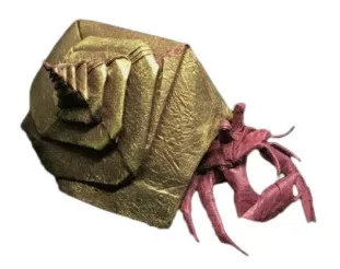 Hermit crab