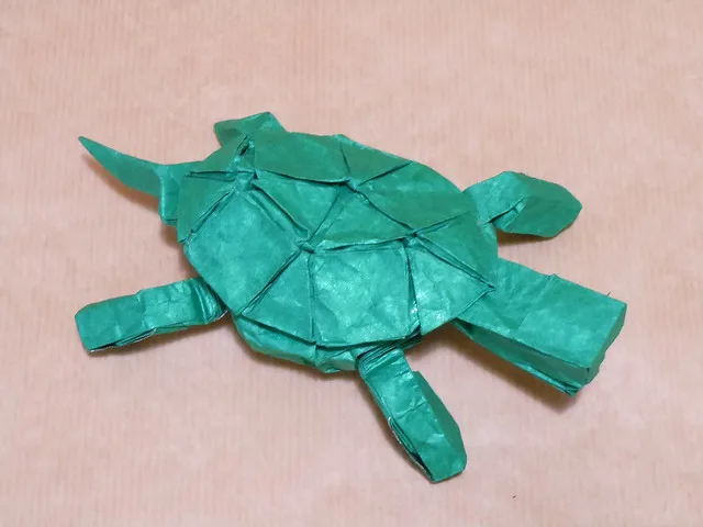 Turtle
