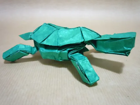Turtle