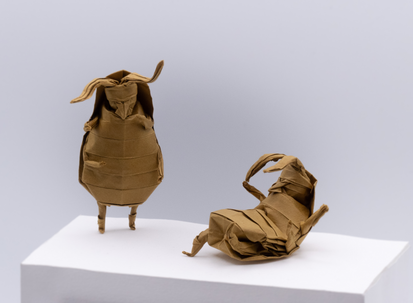 Cockroach