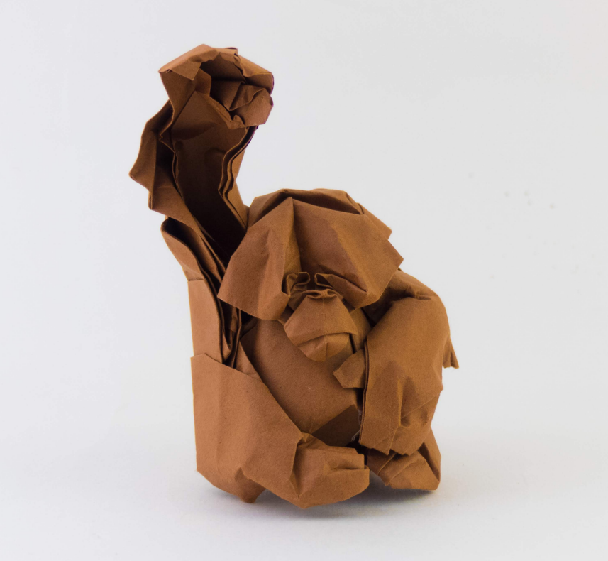 Orangutan
