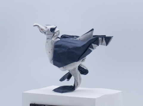 Seagull