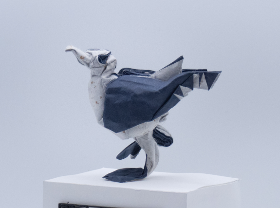 Seagull