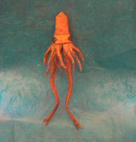 Architeuthis