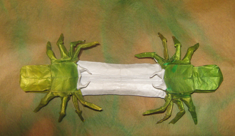 Dueling spiders